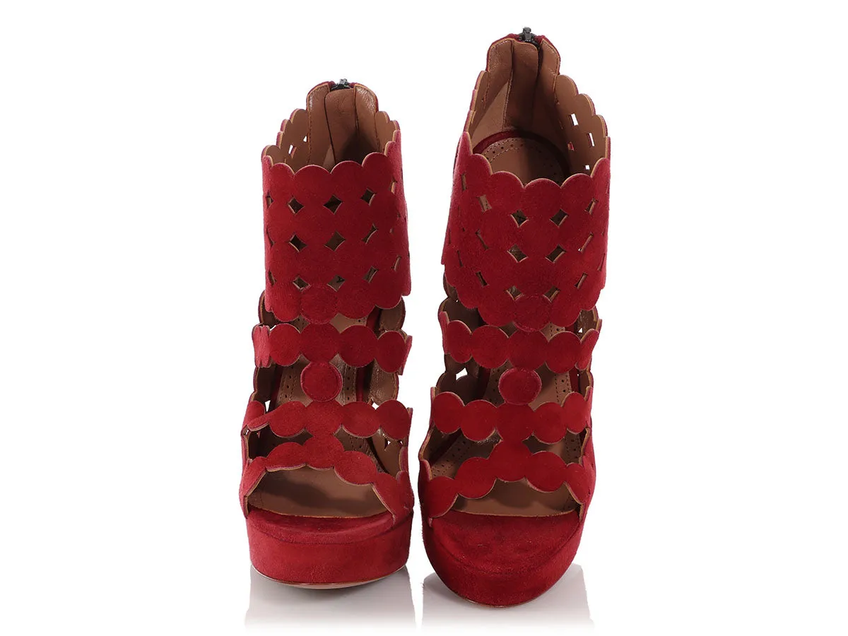 Alaïa Dark Red Suede Pumps