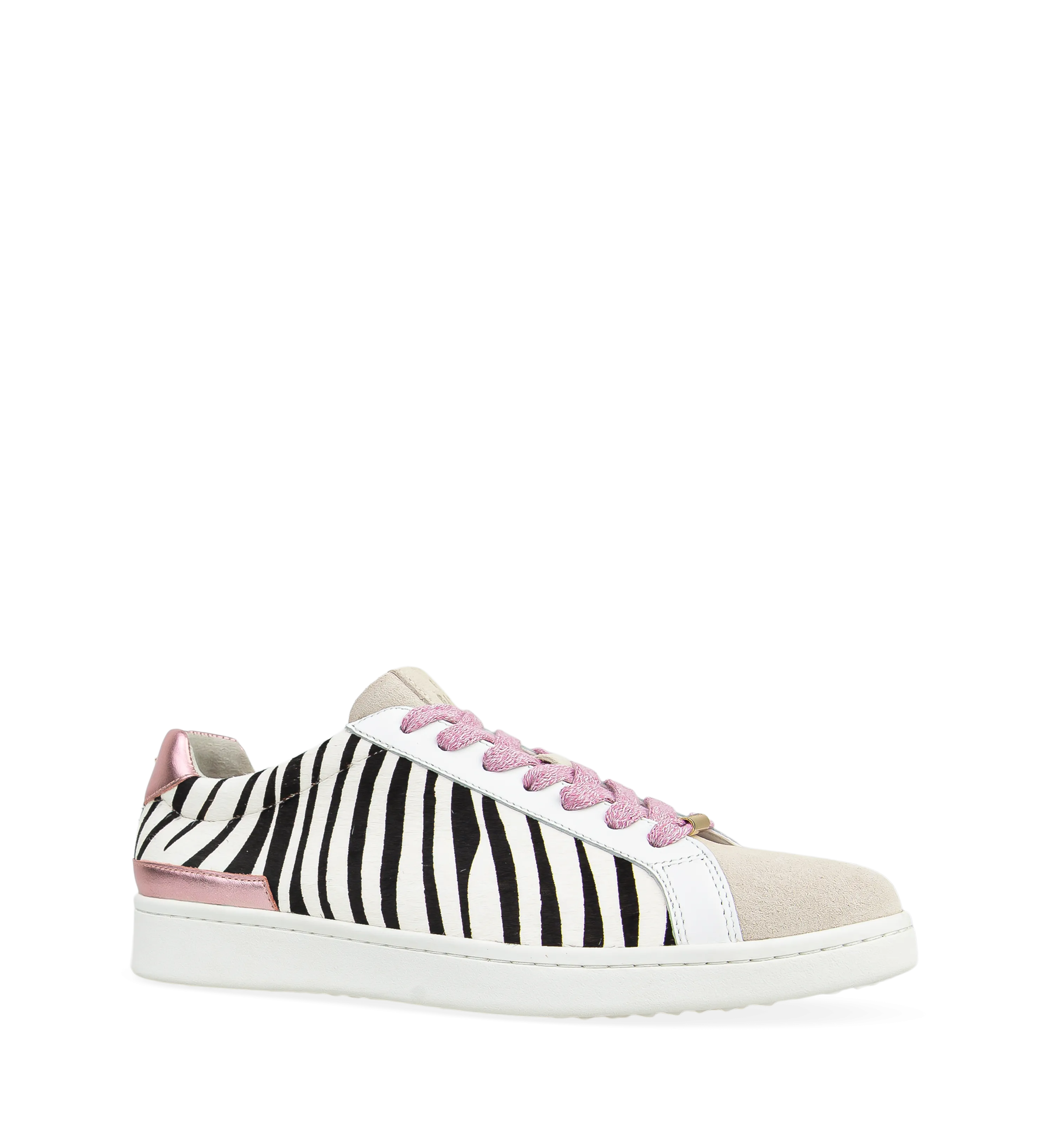 Whimbrel Zebra Print Leather Sneakers