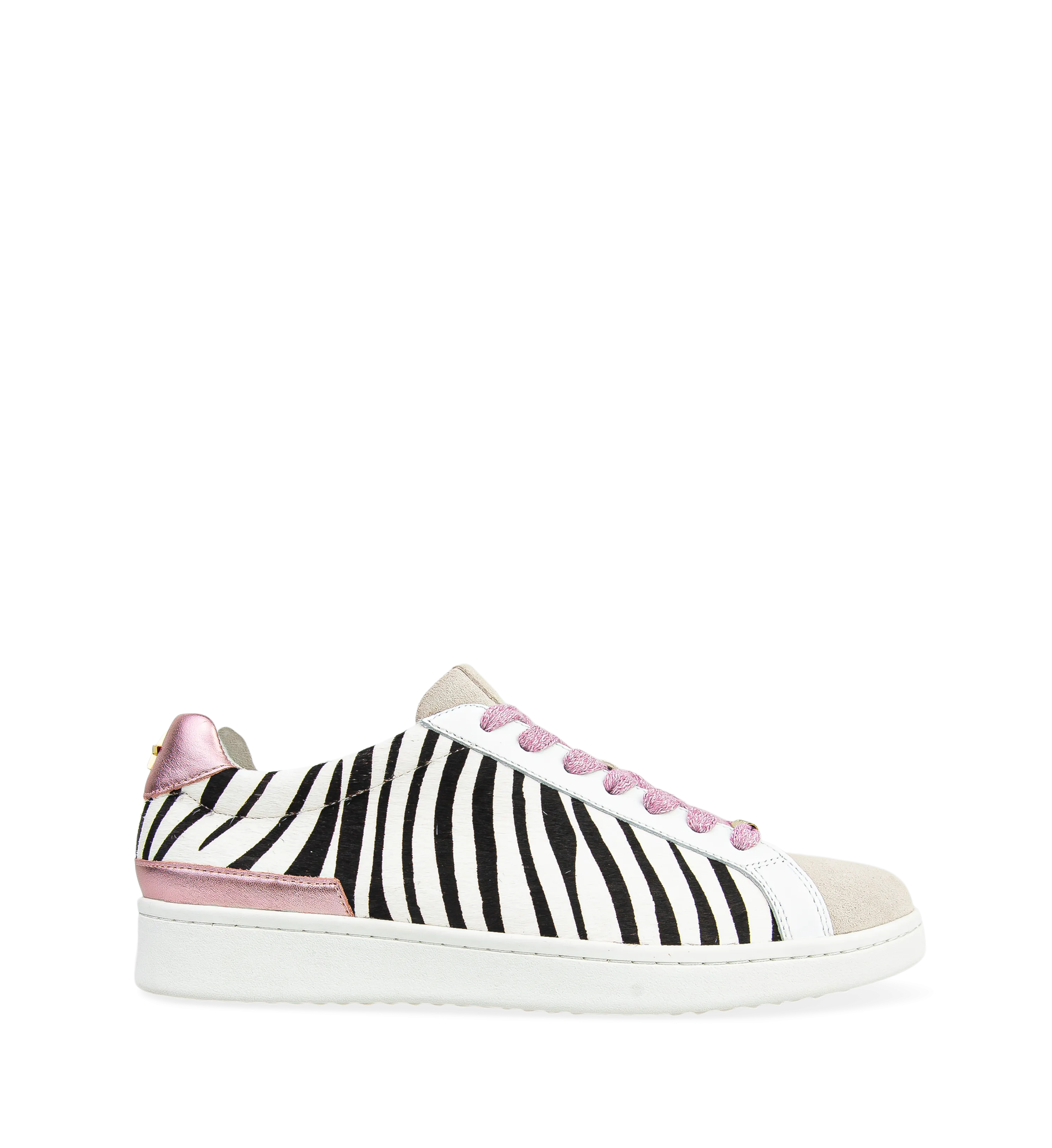 Whimbrel Zebra Print Leather Sneakers
